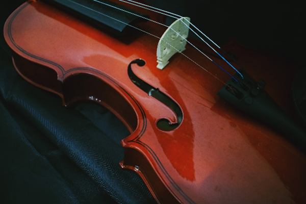 Violin